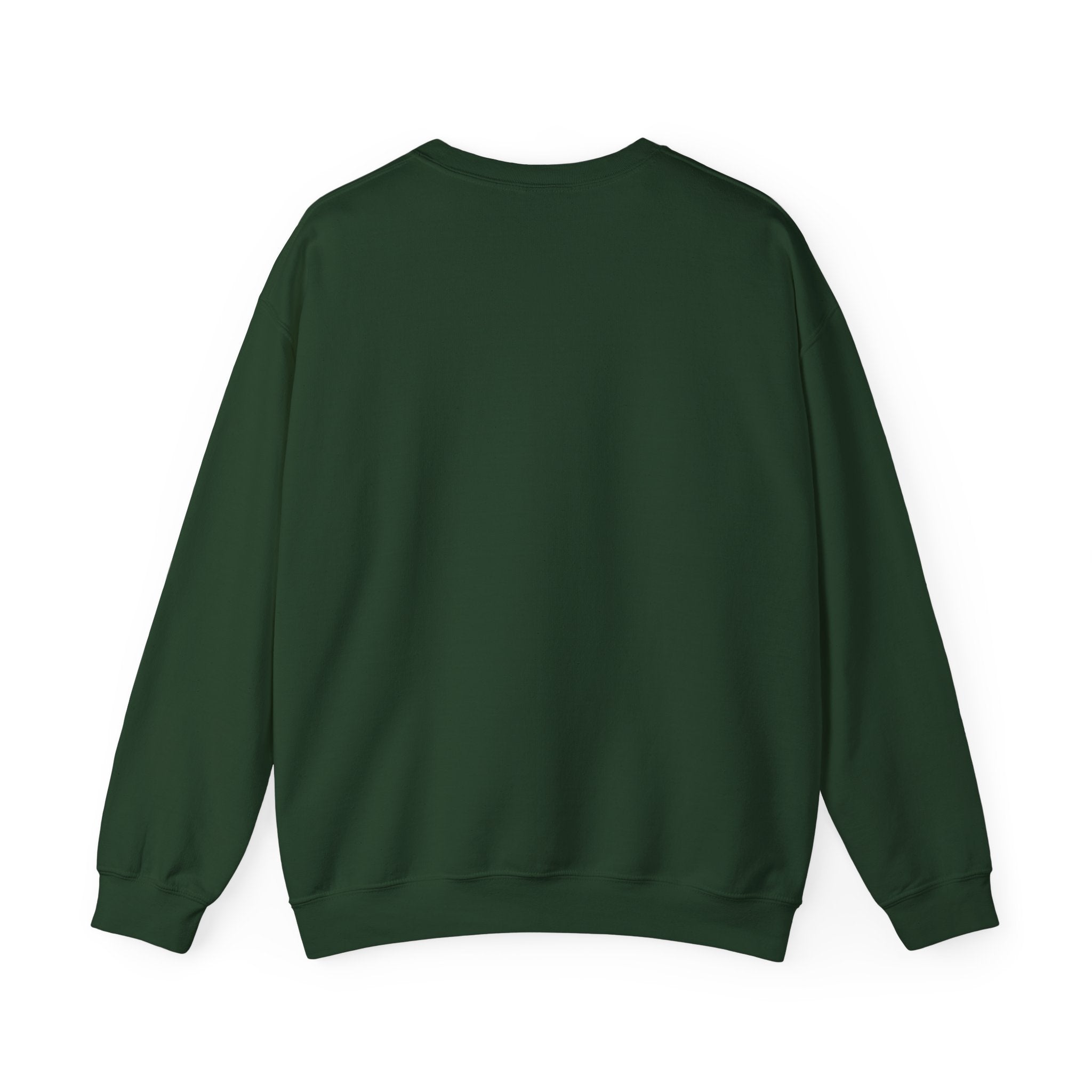 Liptronics, Sweatshirt