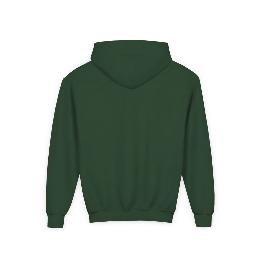Copy of Roaring Dino Youth Hooded Sweatshirt, Casual Wear