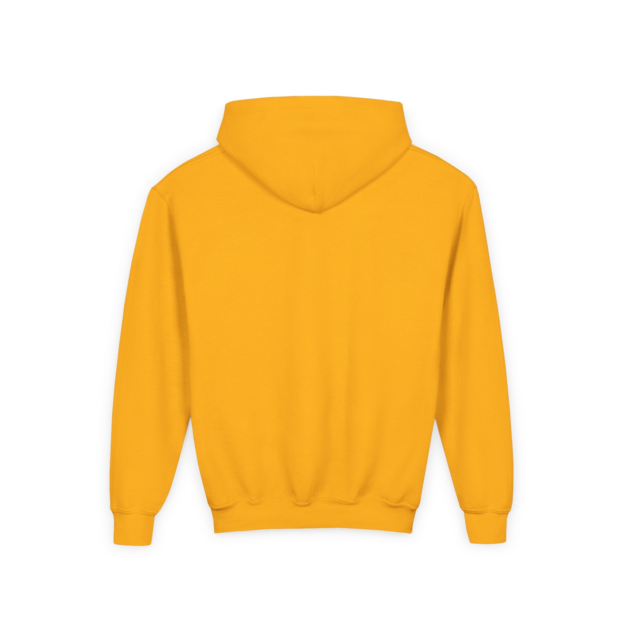 Copy of Roaring Dino Youth Hooded Sweatshirt, Casual Wear